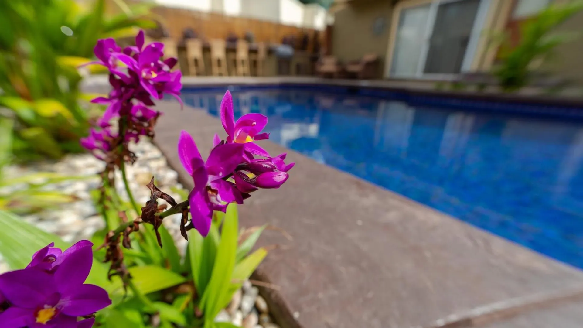 Apartment Plumeria Suite, 2-Bedrooms, Sleeps 6, Pool & Bbq, Pre-Renovation Summer Sale United States